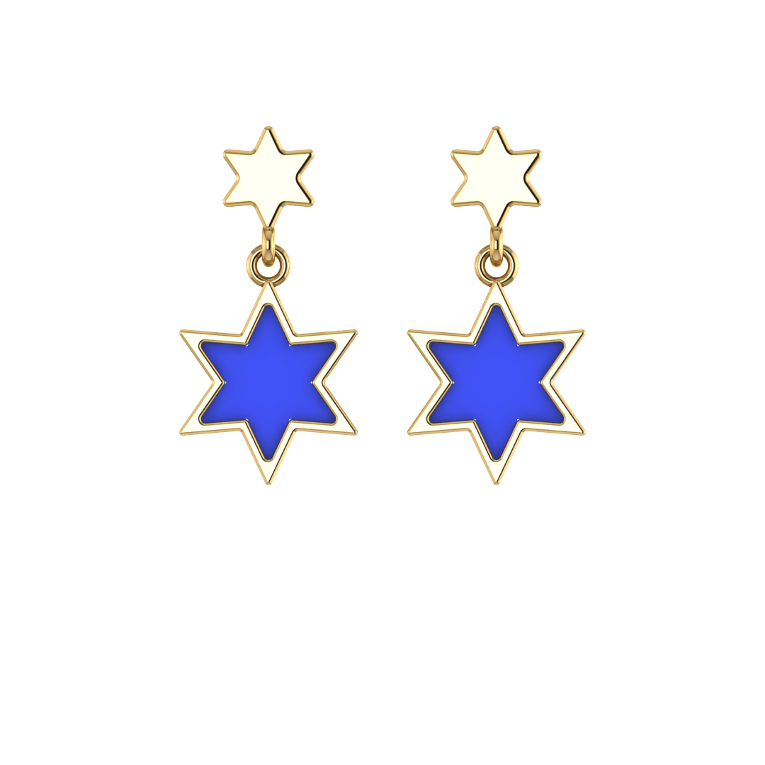 گوشواره ستاره مینا
