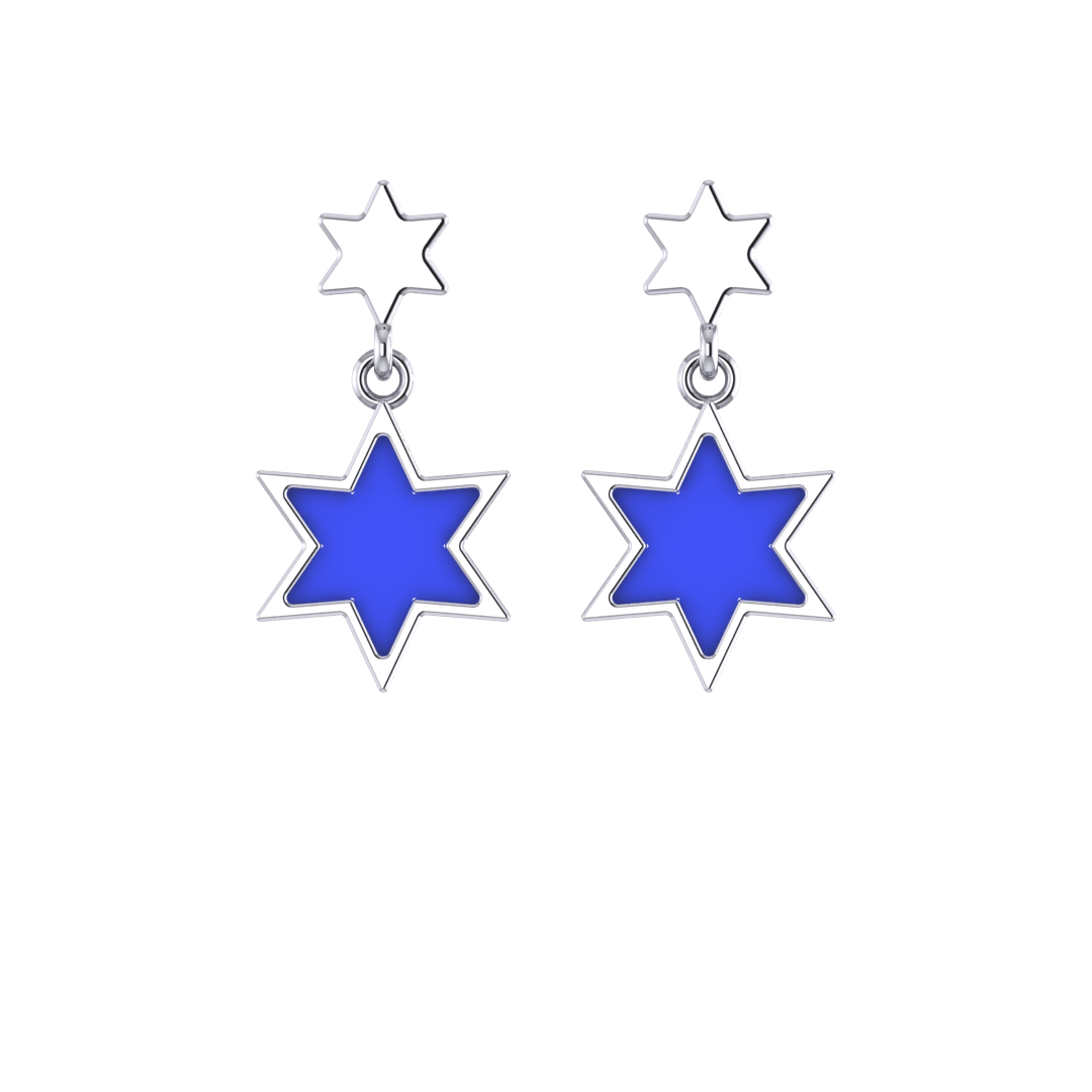 گوشواره ستاره مینا